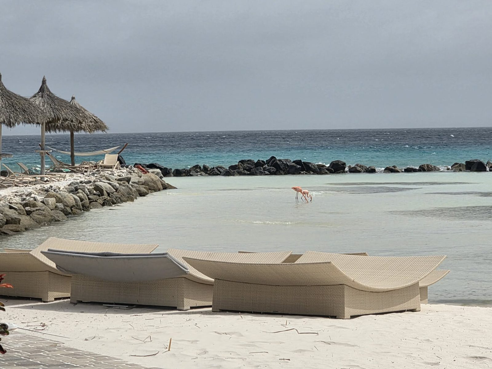 Flamingo Beach day pass, photo 4 of 5