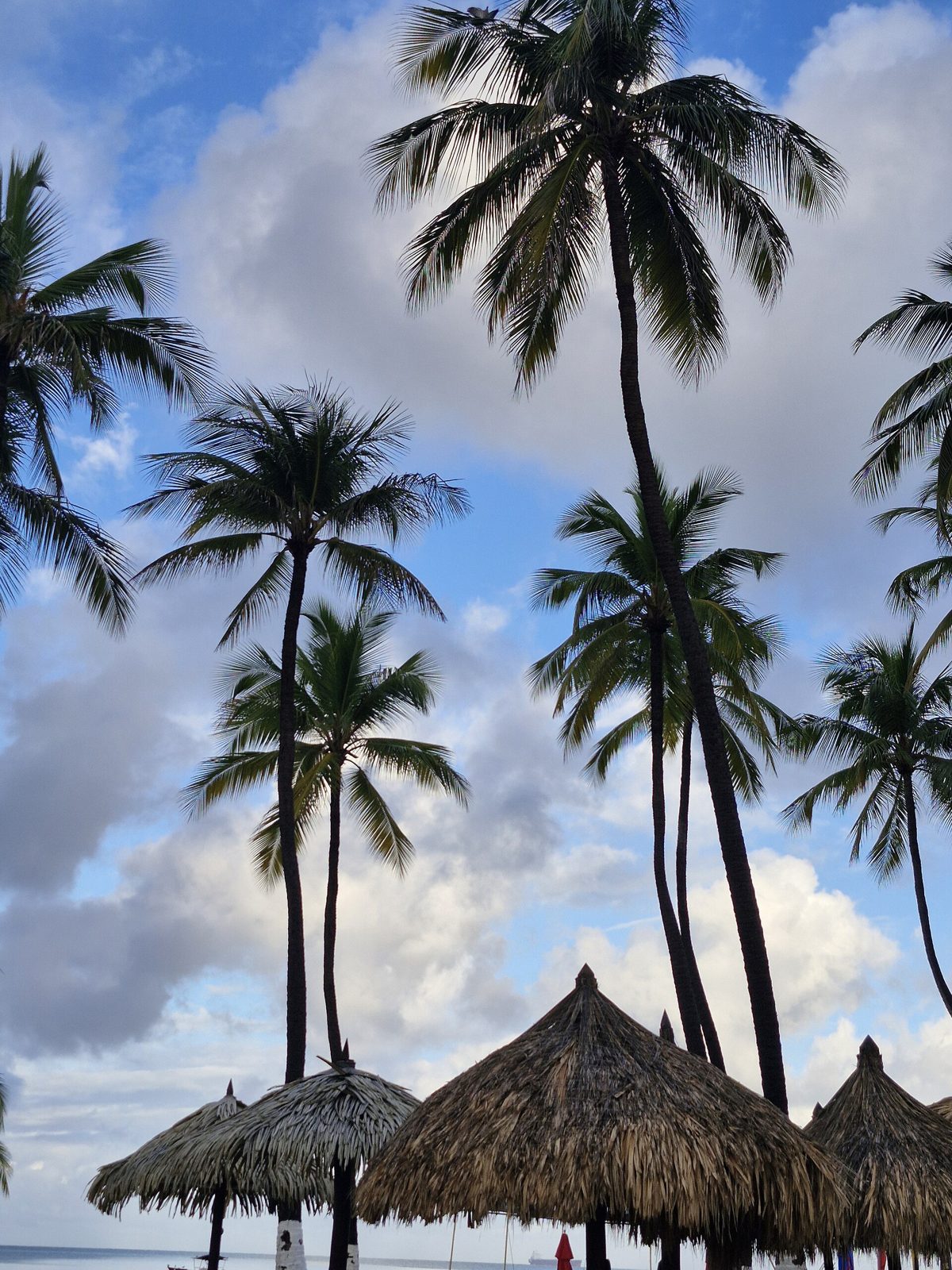 Palm Beach, photo 4 of 5