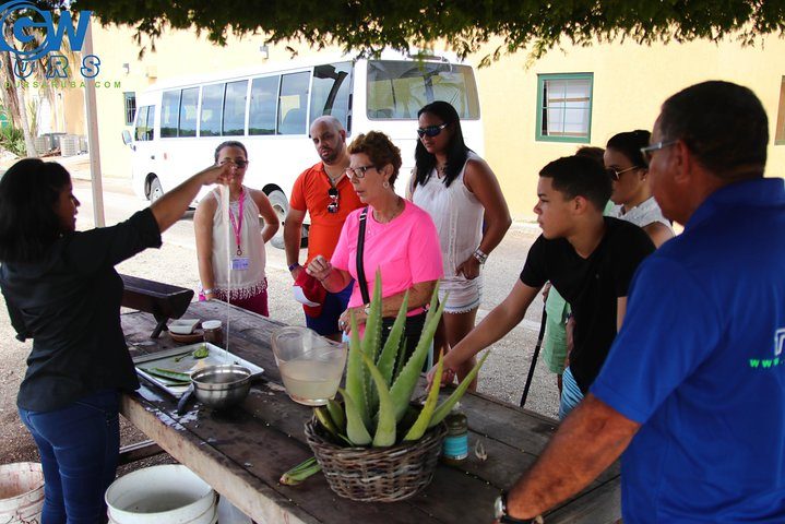 Aruba Countryside Tour, photo 9 of 10