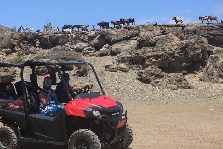Aruba UTV & ATV Adventure, photo 7 of 10