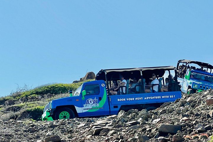 Aruba Jeep Tour: Natural Pool, Caves and Baby Beach Adventure, photo 9 of 10