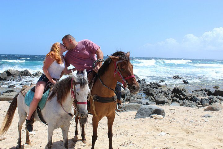 Aruba Ecological & Coastline Horseback Ride with Beach Photo Stop, photo 4 of 10