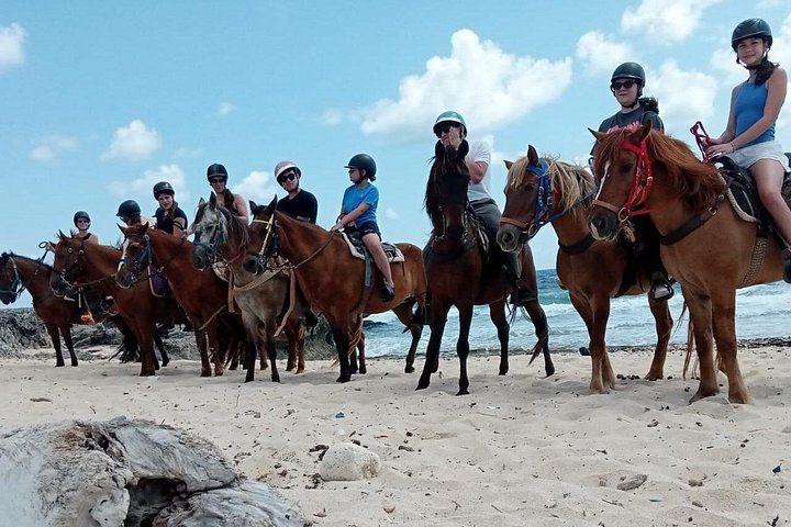 Aruba Ecological & Coastline Horseback Ride with Beach Photo Stop, photo 5 of 10
