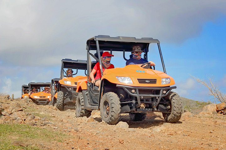 Aruba UTV Adventure: Animal Garden, North Coast & Andicuri Beach, photo 4 of 10