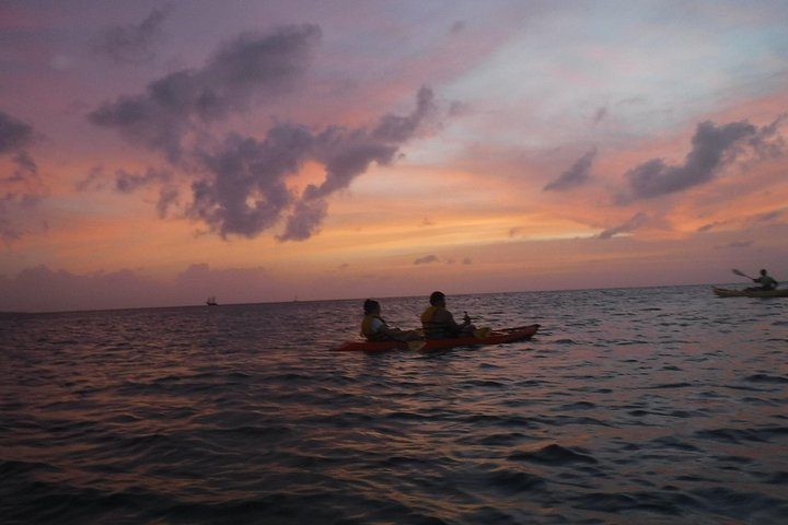 Aruba Night Glass Kayak Tour, photo 3 of 8
