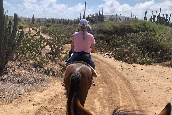 2-Hour Horseback Riding Tour to Little Natural Bridge in Aruba, photo 8 of 10