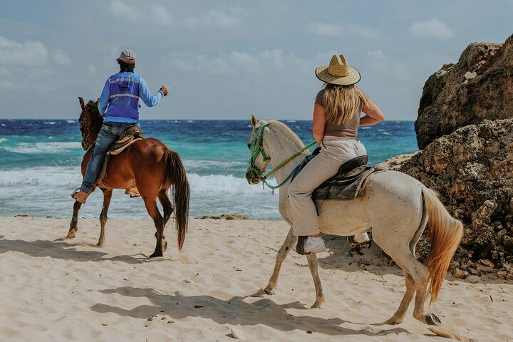 North Coast Classic Afternoon Horseback Riding Tour, photo 4 of 10