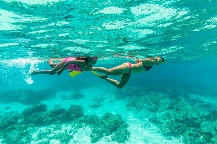 Half-Day Snorkel Sail Tour with Caribbean Lunch, photo 5 of 10