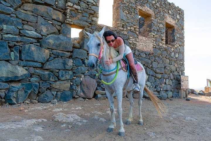 Authentic Aruba Morning Horseback Riding Tour, photo 6 of 10