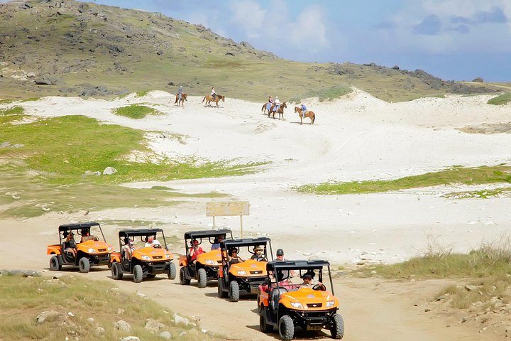 Aruba UTV Adventure: Animal Garden, North Coast & Andicuri Beach, photo 7 of 10