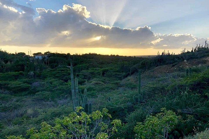 Aruba Jeep Tour: Natural Pool, Caves and Baby Beach Adventure, photo 6 of 10