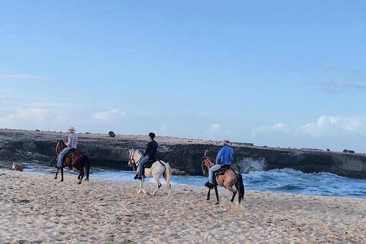 2-Hour Horseback Riding Tour to Little Natural Bridge in Aruba, photo 3 of 10