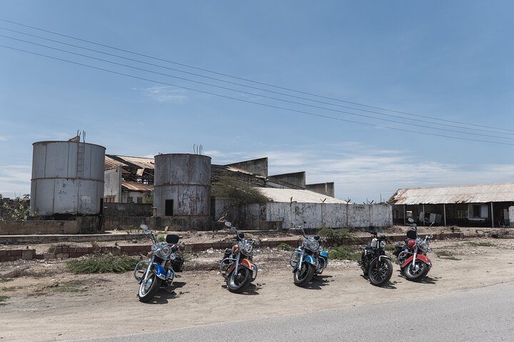 Harley-Davidson RENTALS ONLY 8 hrs, photo 6 of 6