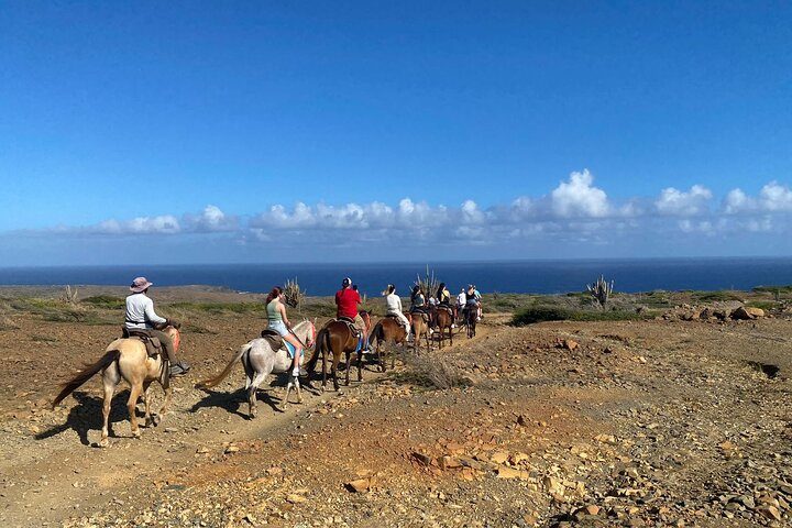 Horseback Ride Tour to Natural Pool in Arikok National Park, photo 10 of 10