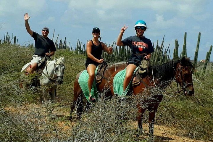 Aruba Countryside: Horseback Adventure to Urirama Cove, photo 9 of 10