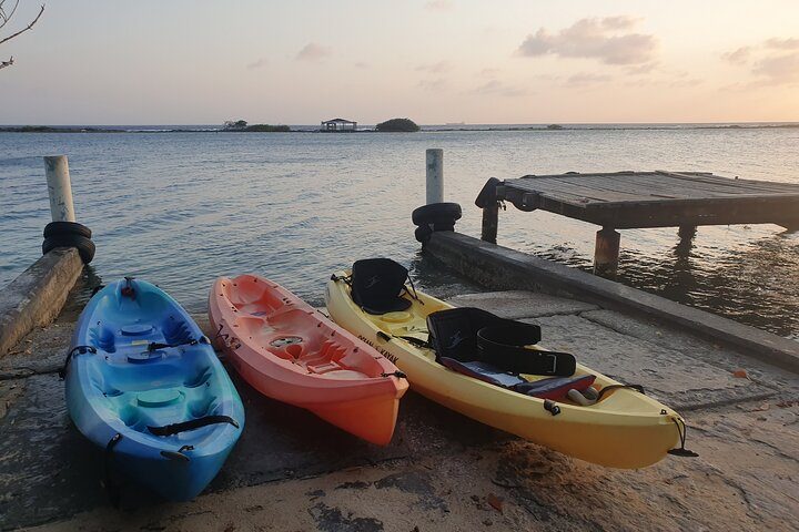 Kayak Tour to Seaglass Island, photo 7 of 10