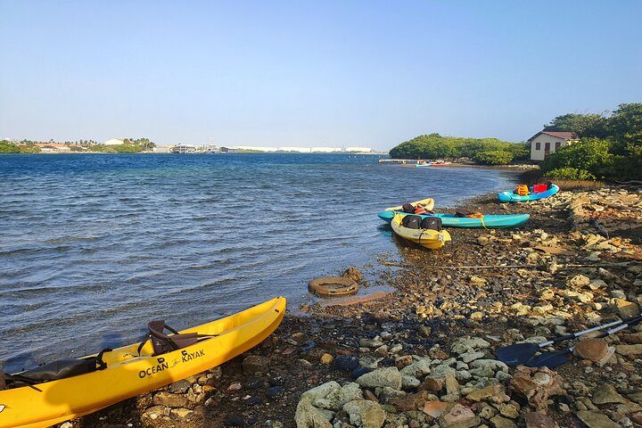 Kayak Tour to Seaglass Island, photo 4 of 10