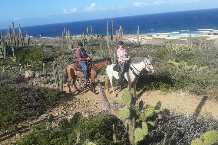 2-Hour Horseback Riding Tour to Little Natural Bridge in Aruba, photo 4 of 10