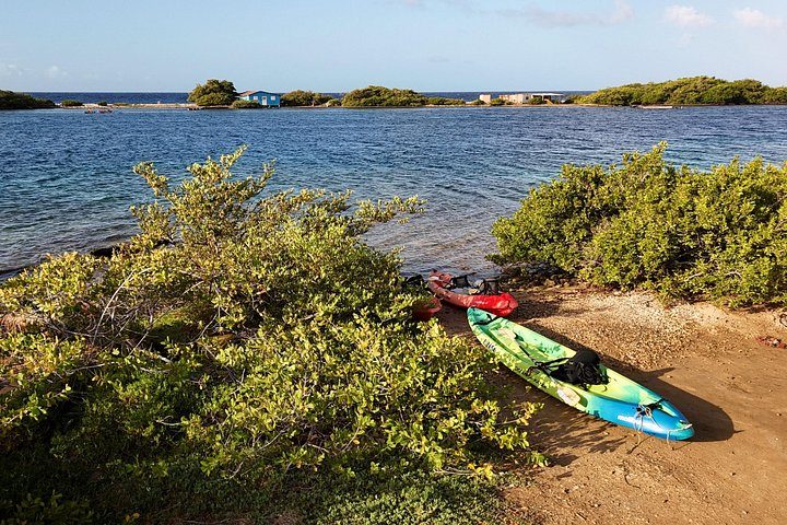 Sea Glass Island Aruba Tour, photo 10 of 10