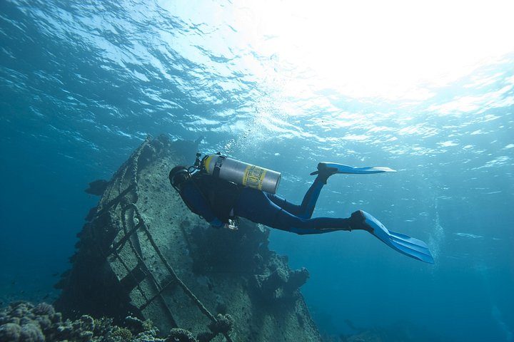 Aruba 2-Tank Dive Excursion for Certified Divers, photo 4 of 10