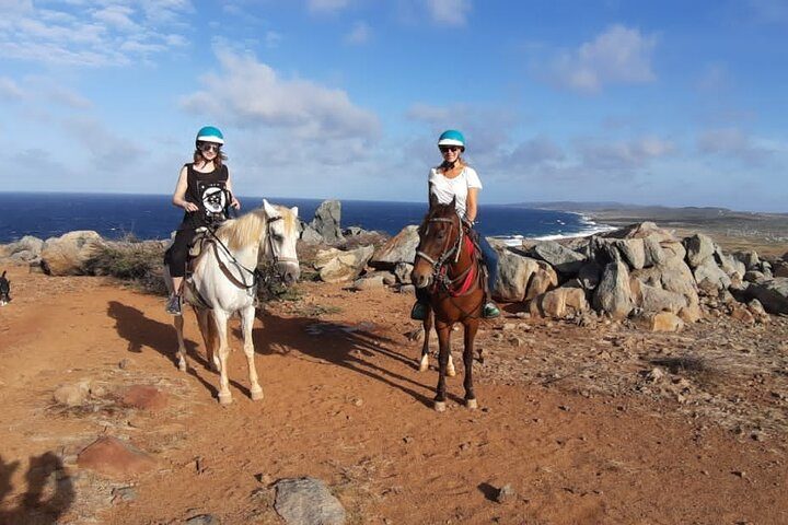 Aruba Countryside: Horseback Adventure to Urirama Cove, photo 5 of 10