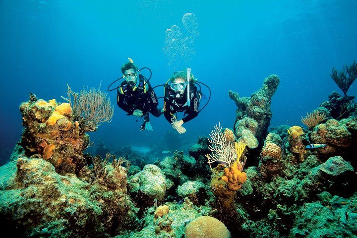 Aruba One or Two Tank Scuba Dive, photo 6 of 10