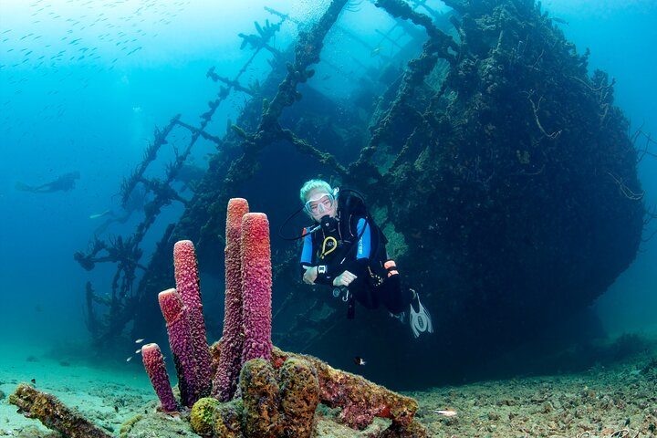 Aruba One or Two Tank Scuba Dive, photo 2 of 10