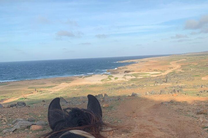 Horseback Riding Wariruri Beach Tour in Aruba, photo 9 of 10