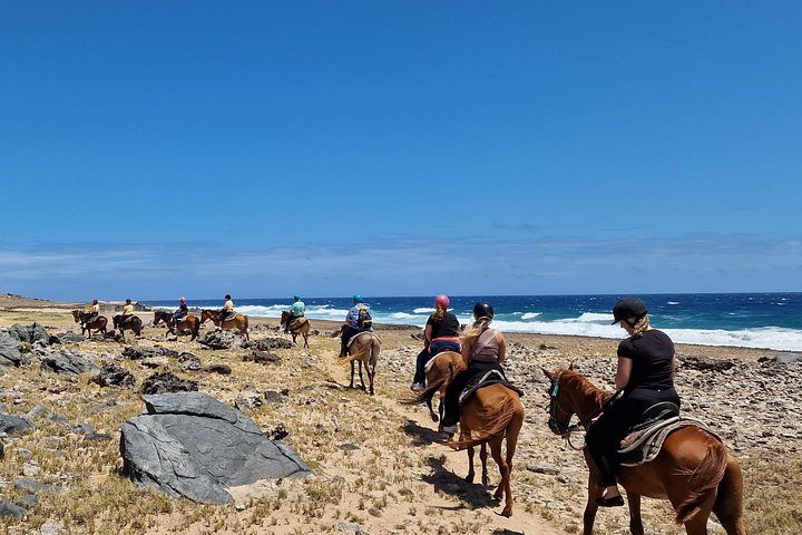 Aruba Ecological & Coastline Horseback Ride with Beach Photo Stop, photo 8 of 10