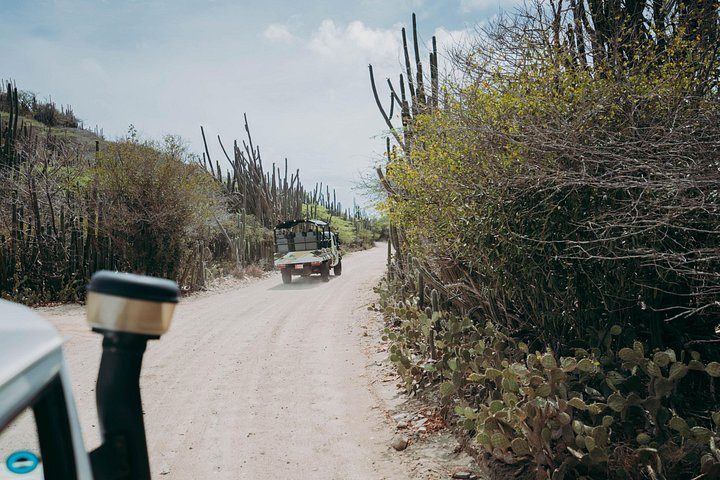 Aruba Signature Jeep Tour: Natural Pool and Baby Beach, photo 4 of 10