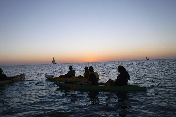 Aruba Night Glass Kayak Tour, photo 4 of 8