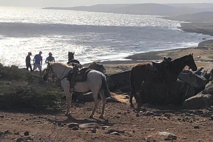Aruba Horseback Riding Tour For Advanced Riders, photo 6 of 10