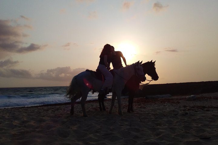 Aruba Ecological & Coastline Horseback Ride with Beach Photo Stop, photo 7 of 10
