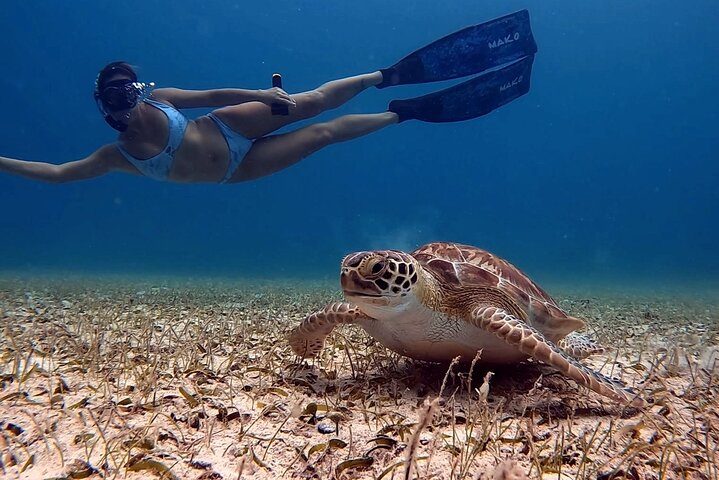 Aruba Turtle Snorkeling Private Tour with Underwater Footage, photo 2 of 10