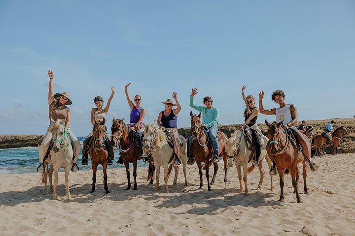 Authentic Aruba Morning Horseback Riding Tour, photo 9 of 10