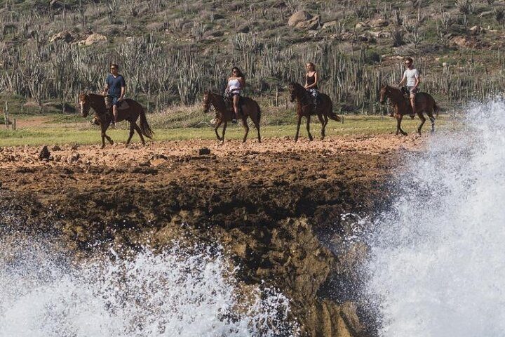 Horseback Riding Wariruri Beach Tour in Aruba, photo 3 of 10