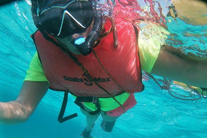 Small Group Snorkeling at Mangel Halto Aruba, photo 6 of 10