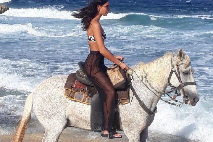 Aruba Horseback Riding Tour For Advanced Riders, photo 4 of 10