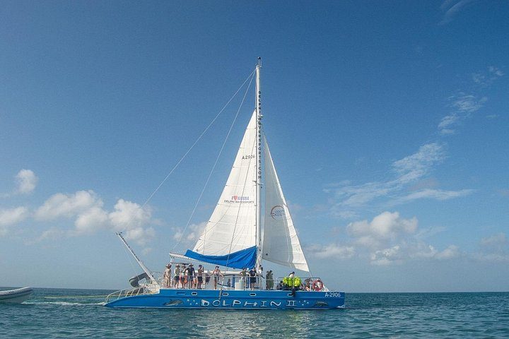 Dolphin Catamaran Snorkel and Sail with Open Bar, photo 9 of 10