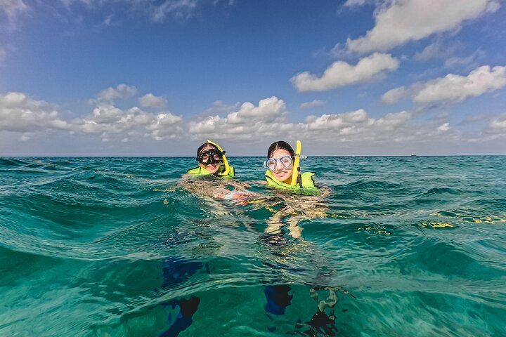 Aruba Turtle Snorkeling Tour | Photos & Videos Included (2 Hours), photo 9 of 10