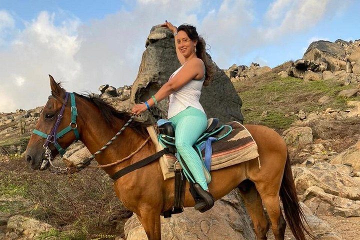 Aruba Ecological & Coastline Horseback Ride with Beach Photo Stop, photo 9 of 10