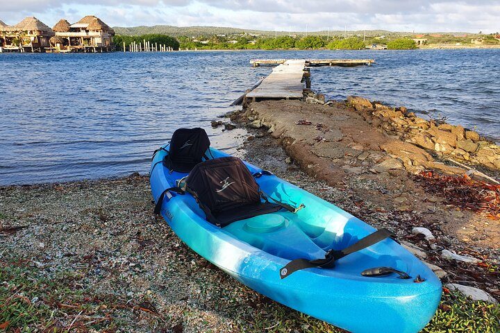 Kayak Tour to Seaglass Island, photo 8 of 10