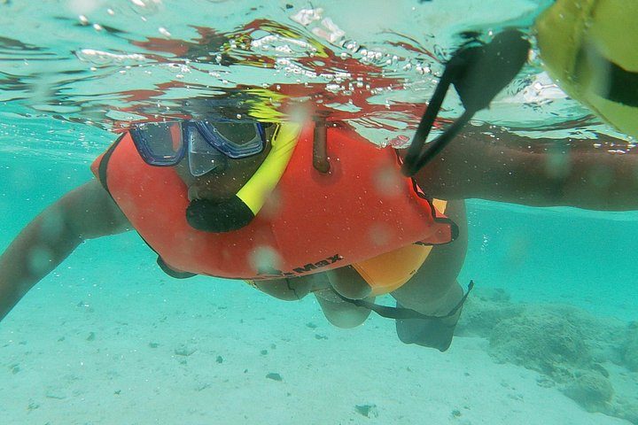 Small Group Snorkeling at Mangel Halto Aruba, photo 10 of 10
