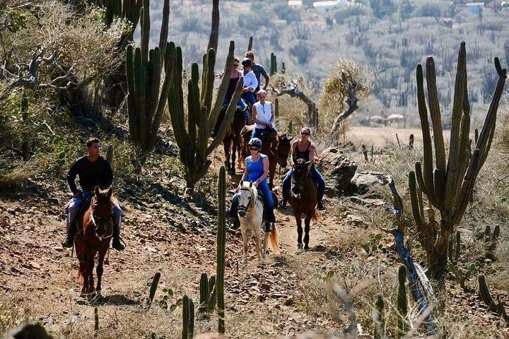 Horseback Ride Tour to Natural Pool in Arikok National Park, photo 6 of 10