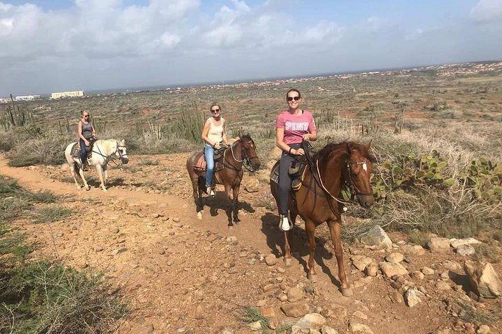 Sunset Horseback Ride in Aruba, photo 8 of 10