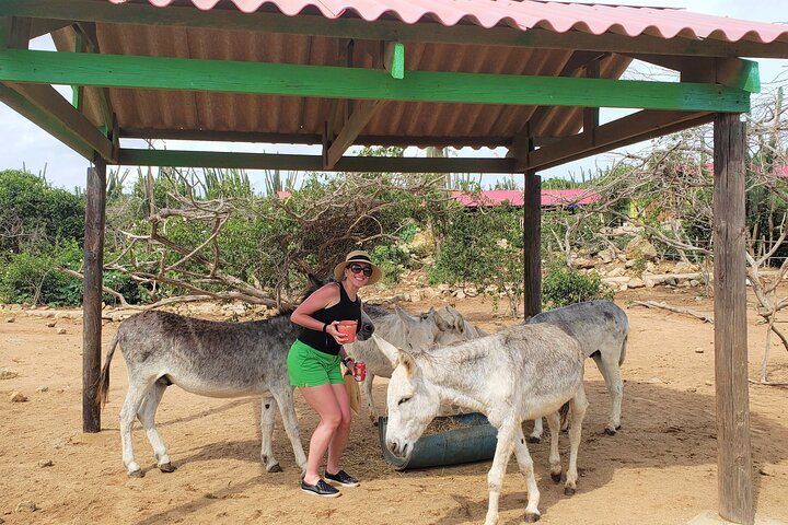 Aruba Baby Beach Express Tour, photo 5 of 8