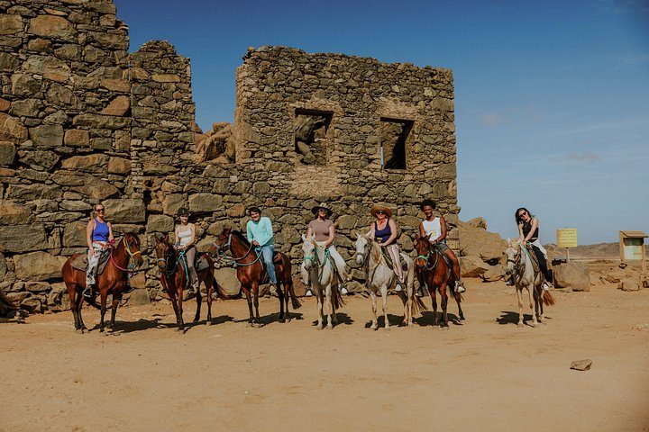Authentic Aruba Morning Horseback Riding Tour, photo 7 of 10