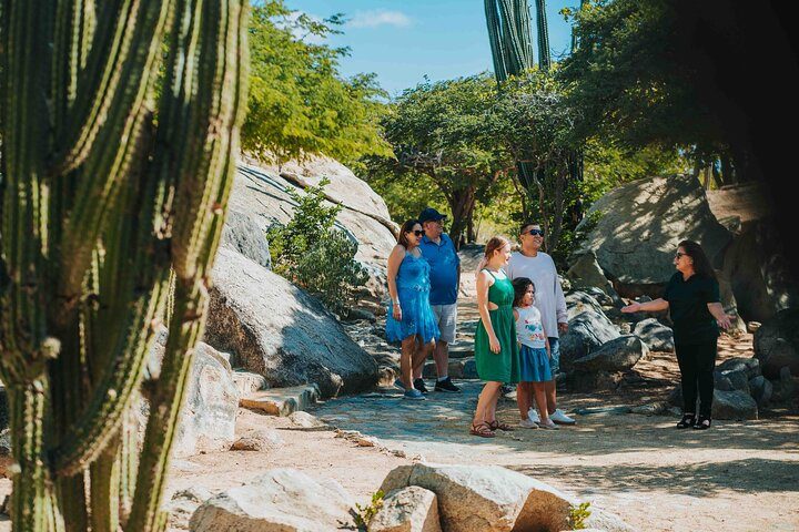 Full-Day Aruba History and Must-See Landmarks Tour, photo 5 of 10