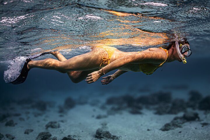 Award-Winning Private Turtle Snorkeling Aruba | Video Included, photo 7 of 7