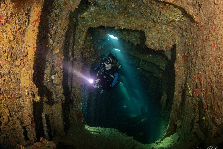Aruba One or Two Tank Scuba Dive, photo 4 of 10